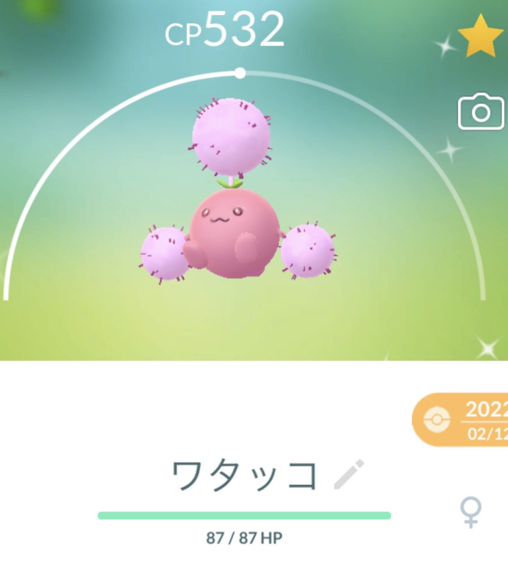Popo766918's tweet photo. グローバル1日目疲れた〜😂
のんびりやってたわりに色んな色違いでて
嬉しかった🤍

ワタッコ交換ありがとうございます😭😭
明日も頑張るぞ https://t.co/KnFKpbVhTH