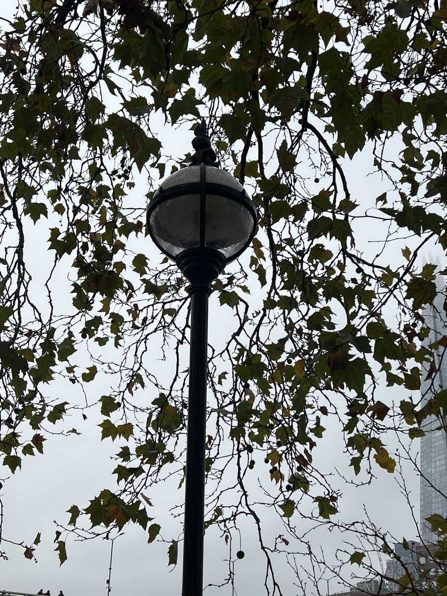 Paul Webb tweet media