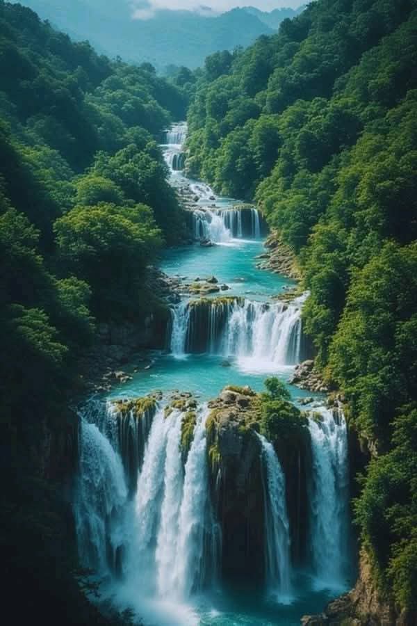 scouce007's tweet image. 🌲🩵 Have a nice day!🩵🌲