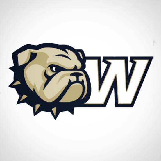 Carter Rose tweet media