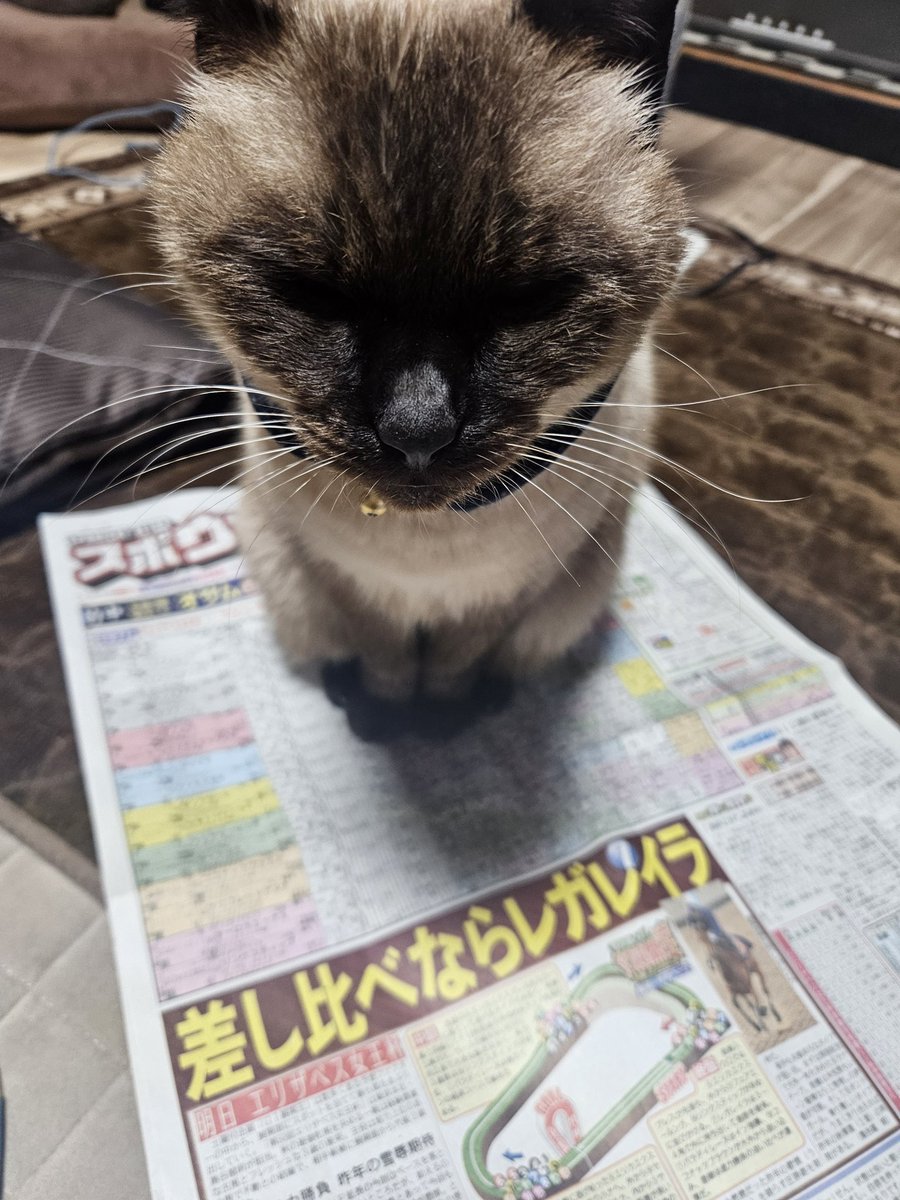 サトーちゃん😁👍✨️ (@satosyachou) / Posts / X