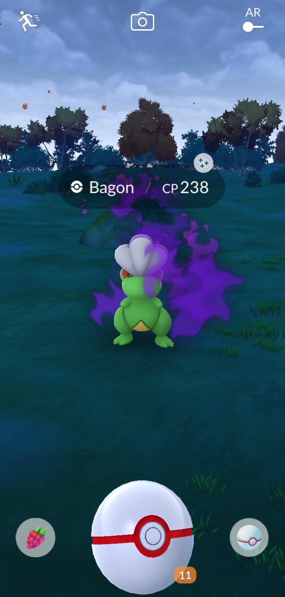 Shadow shiny to start the day! Let's go! #shadow #shiny #Pokemon #PokemonGOApp