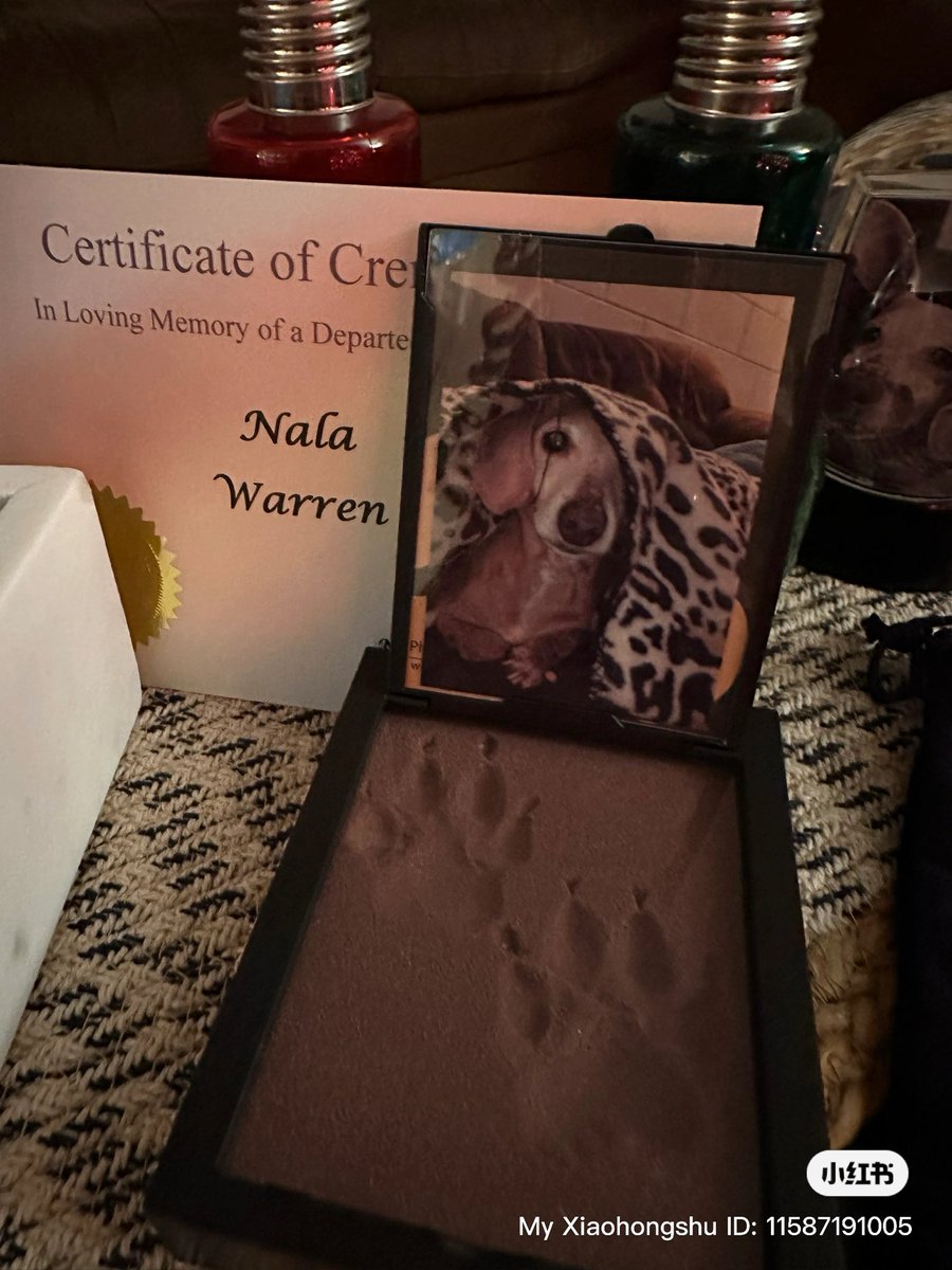 She’s finally home where she belongs 🤍