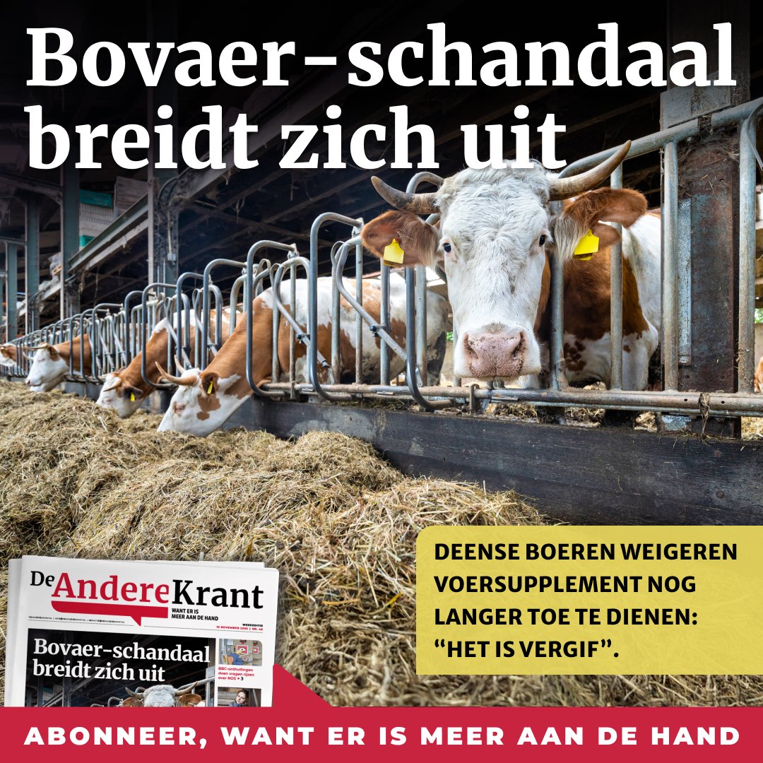 AndereKrant's tweet image. Deense boeren weigeren massaal het Nederlandse middel Bovaer toe te voegen aan hun veevoer. De Deense overheid stelt dat sinds dit jaar verplicht, maar de boeren zien dat hun koeien ziek worden of doodgaan nadat ze Bovaer hebben binnengekregen. Bovaer is ontwikkeld door…