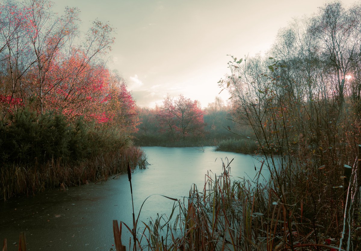 zosphotos's tweet photo. Autumn reds https://t.co/hKij2xTcoY