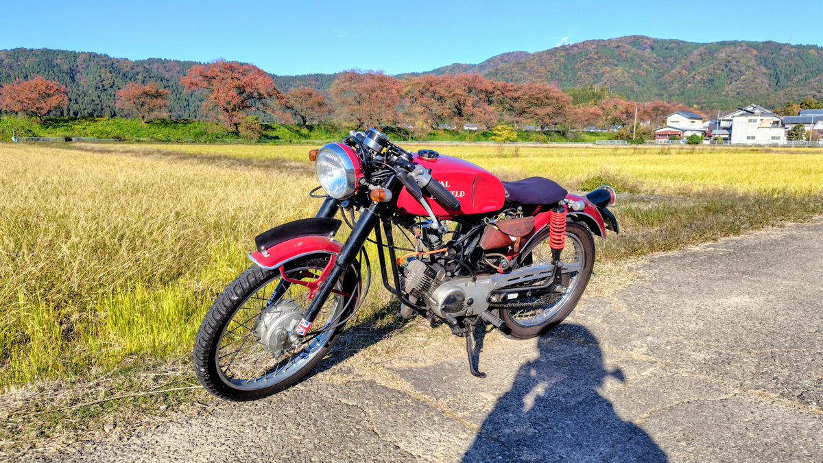 5cc_design's tweet photo. 家から片道20分の冒険🏍️💨
それだけでも十分に楽しい✨

#YAMAHA #YB1 #原付 #カスタム #custom #ロイヤルエンフィールド #royalenfield #紅葉 #朝倉氏遺跡 https://t.co/LfYZK1rpZh