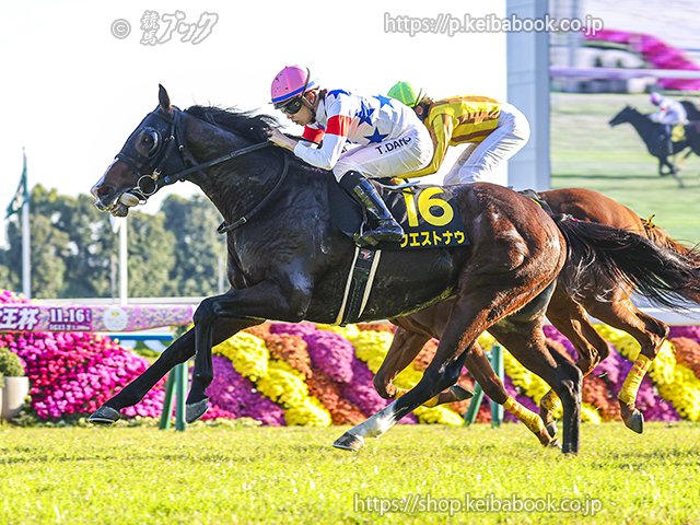 競馬ブックネットSHOP (@keibabookshop) / Posts / X