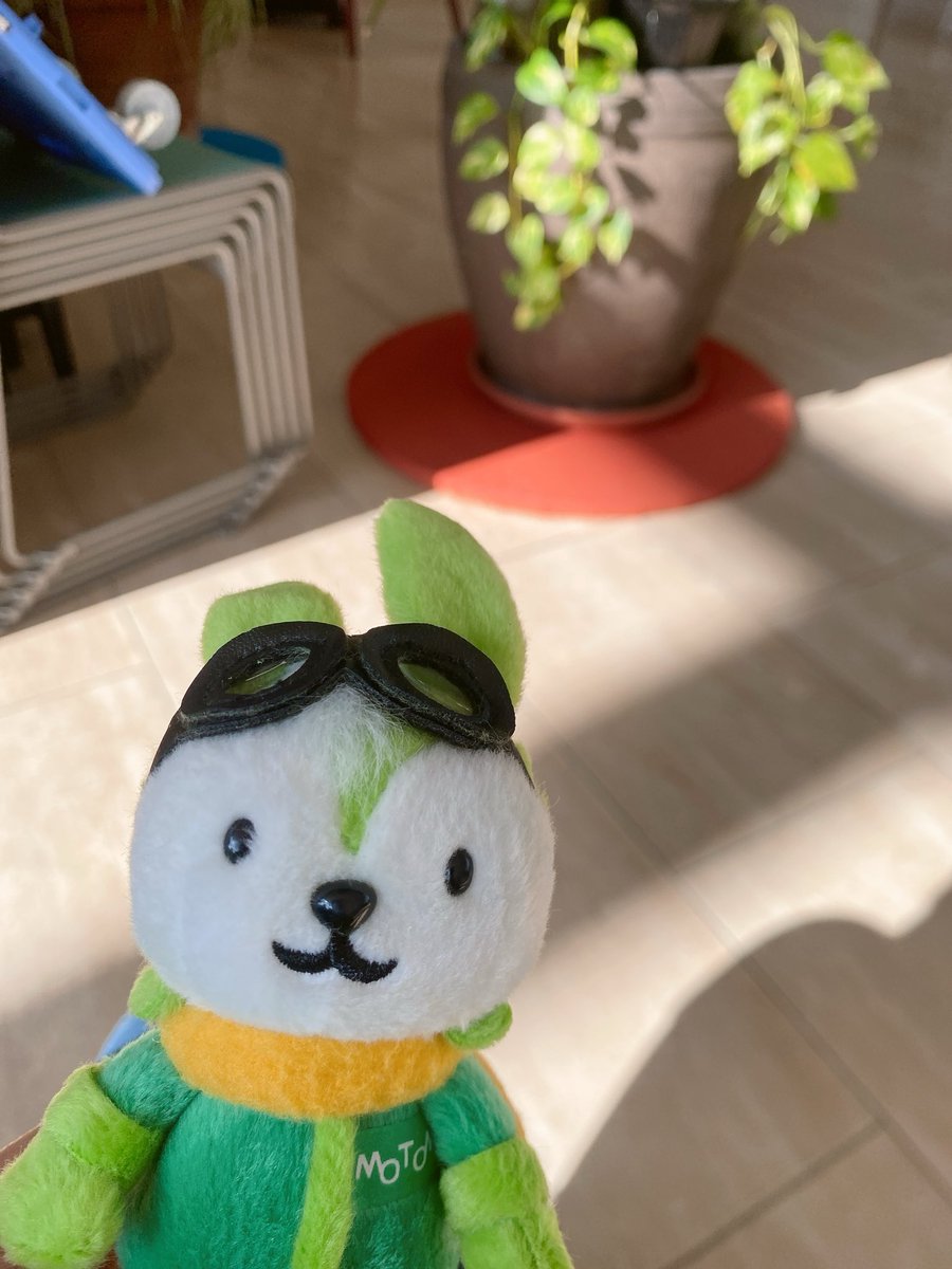 sirotan88_26's tweet image. BDSバイクセンサー秋の祭典楽しんできました。
２回目は4人体制で見れてよかった！
来年もここでＦＭＸみれますように🙏

スタンプラリーの景品のぬいぐるみ可愛かった😍

#BDSバイクセンサー秋の祭典
#FMXSHOWCASE
#フリースタイルモトクロス
＃ＦＭＸ