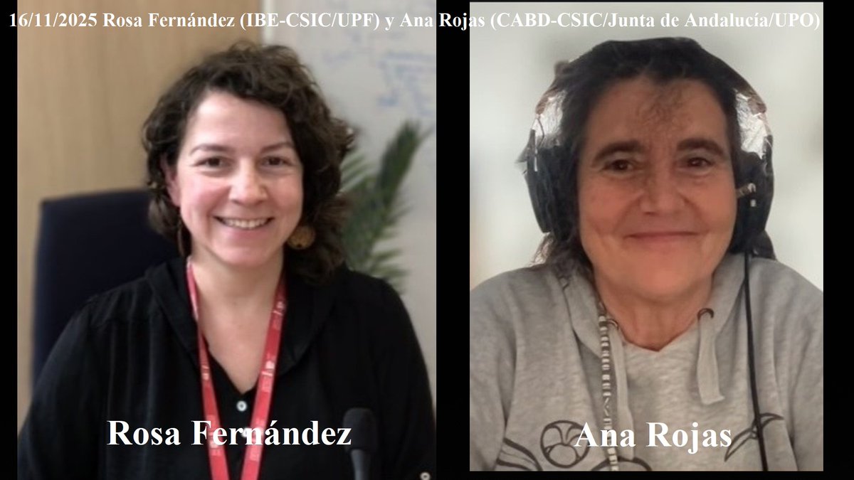 searavalero's tweet image. El sistema de Inteligencia Artificial FANTASIA es capaz de predecir funciones desconocidas de cualquier proteína a partir de su secuencia. Hemos hablado con Rosa Fernández @IBE_Barcelona y Ana Rojas @CABD_UPO_CSIC, líderes de la investigación.