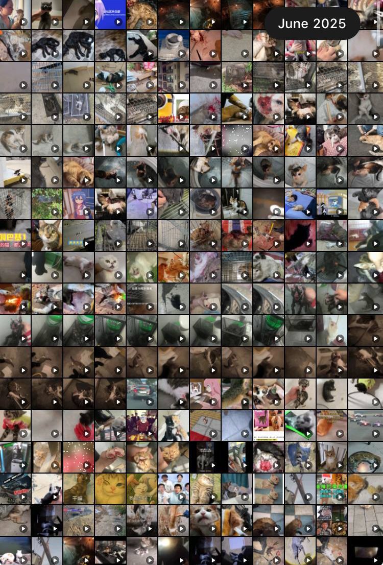 China’s internet hides a sickness deeper than censorship. 
“Cat deleters” film torture for clicks while the state stays silent. 
No animal laws, no shame—just cruelty wrapped in apathy, streaming under Xi’s watch. 1/2

<a href="/carolca27483338/">carol carter</a> <a href="/CageyBee33/">CageyBee</a> <a href="/CatAbusers_CN/">CatAbusers_CN</a> <a href="/Agusia55377100/">Dr. Trust Worthy 🌱</a>
