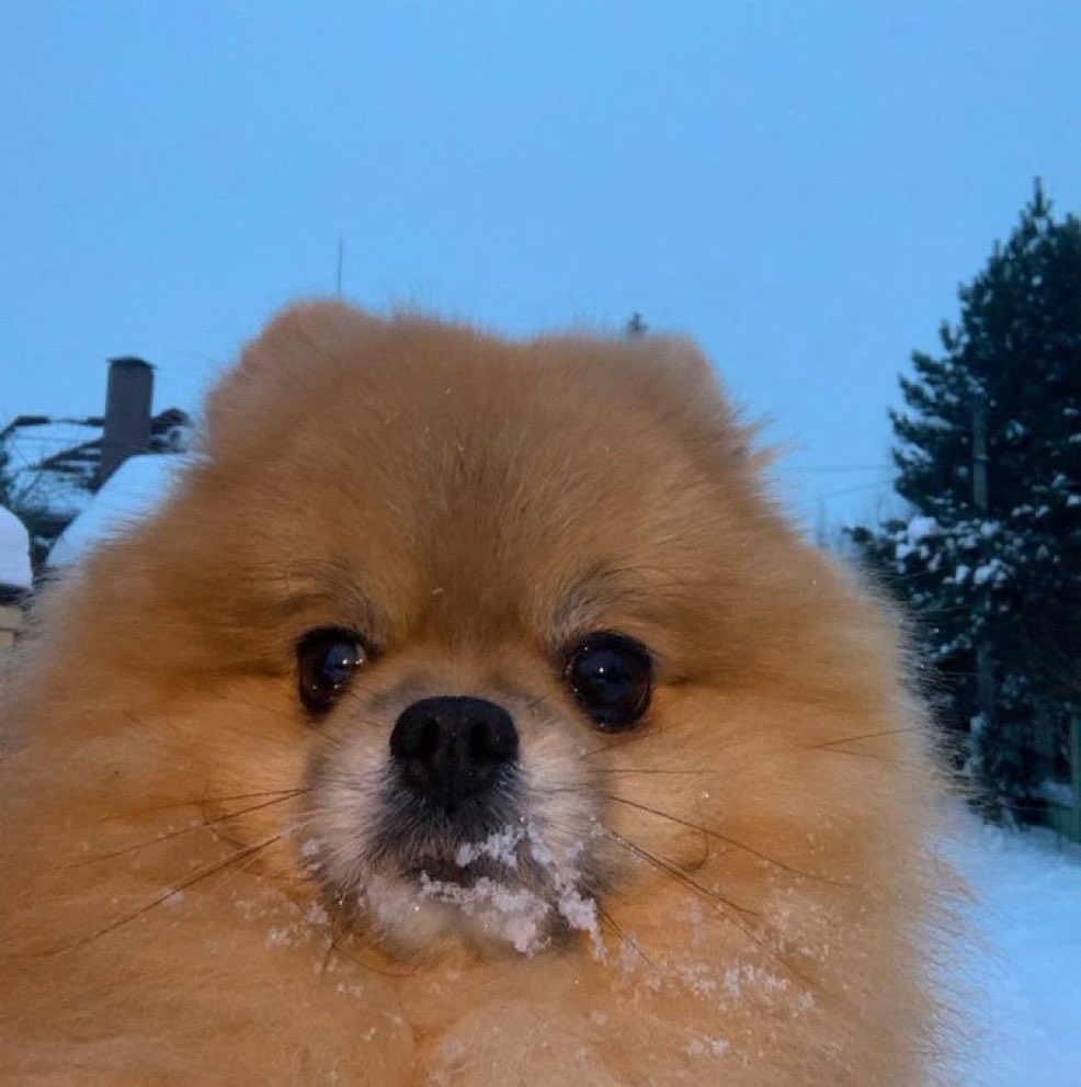 Never forget.

The $KORI curse is real.

Trade it for anything and that bag will go to zero.

Leverage trade it you will go to zero.

FUD it and you will cope forever.

Everyone gets the amount of $KORI they deserve at the price they deserve.