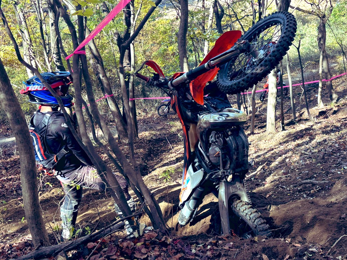 PITシマユウ (@PIT_shimayu21) / Posts / X