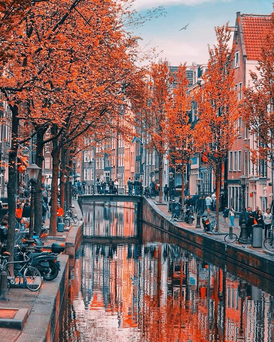 RtEnPassant's tweet image. 