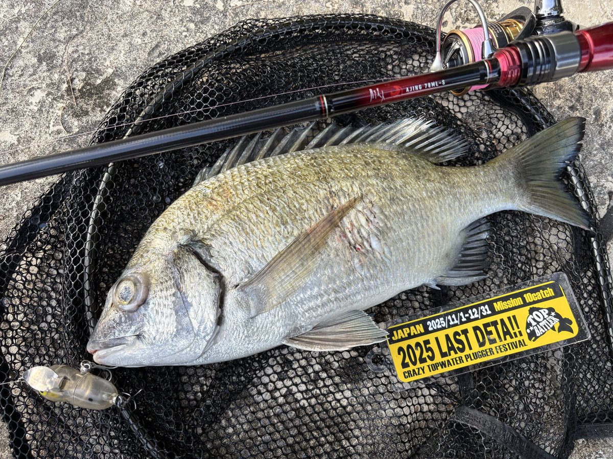 ジグザグ。 (@4939xxx) / Posts / X