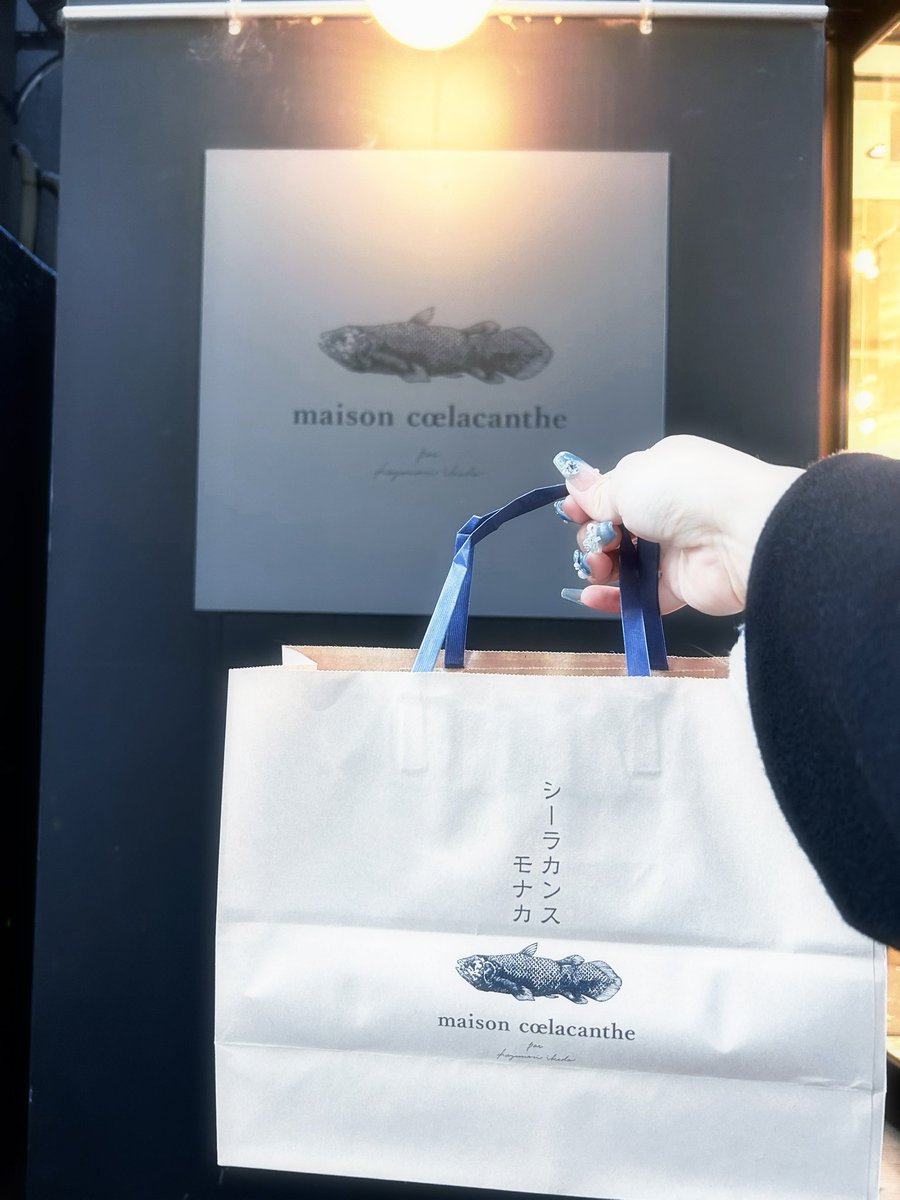 もちもちおもち (@hiroshinoyousi) / Posts / X