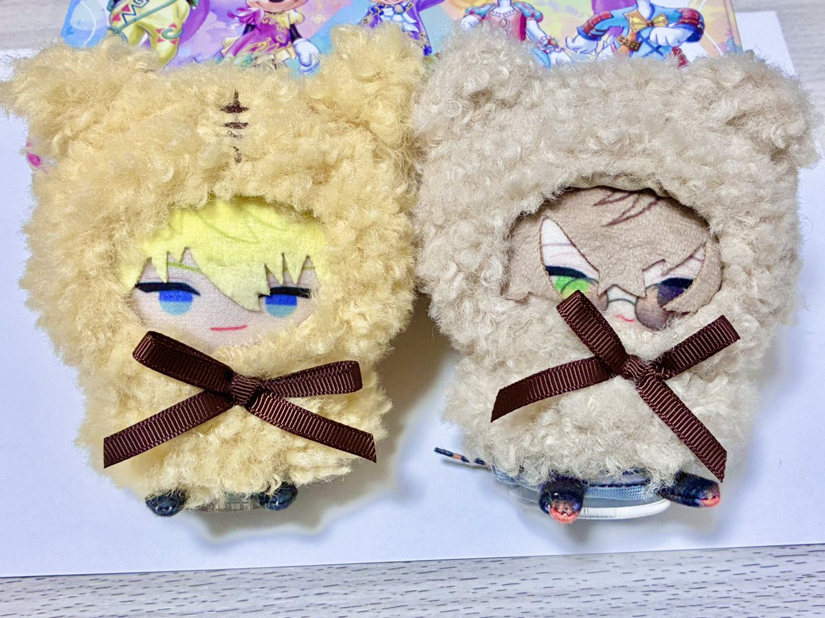 うちの🟡🟠ぱぺたちに買ったぬい服が可愛すぎるから明日これで連れて