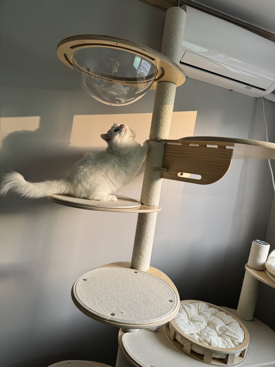 첫번째는 둘째꺼
뒤에건 첫째꺼
완공했습니다🥹