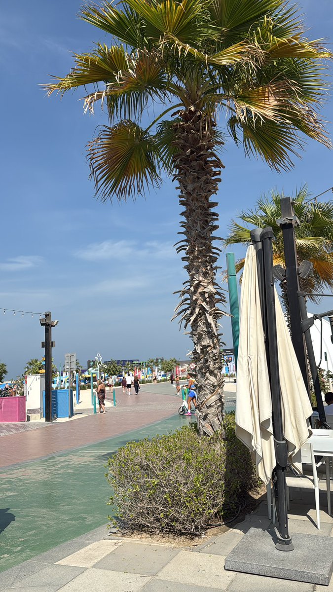 gm gm ☀️ the market is down and we don’t forget to touch sand