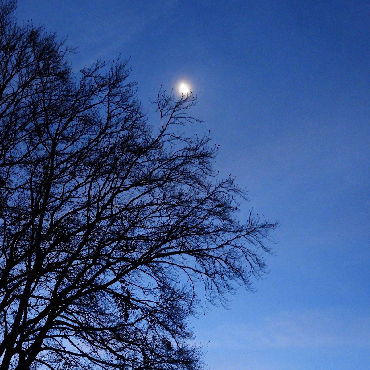 FunkyAppleTree's tweet image. Good mooning from SW London 🌘 @StormHour @ThePhotoHour #loveukweather #saturdaymorning