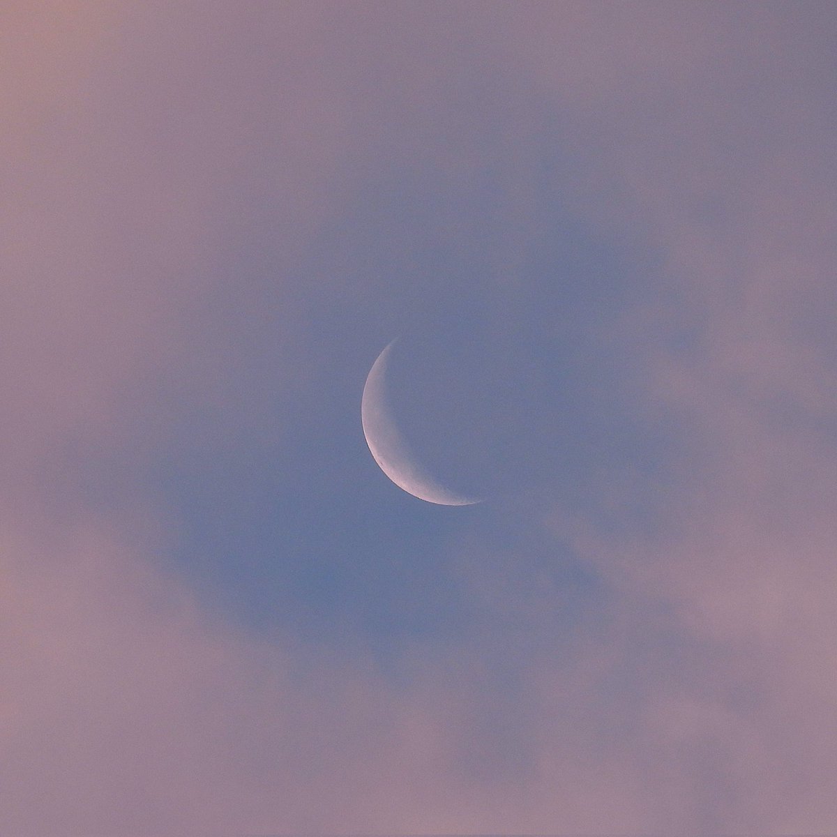 FunkyAppleTree's tweet image. Good mooning from SW London 🌘 @StormHour @ThePhotoHour #loveukweather #saturdaymorning