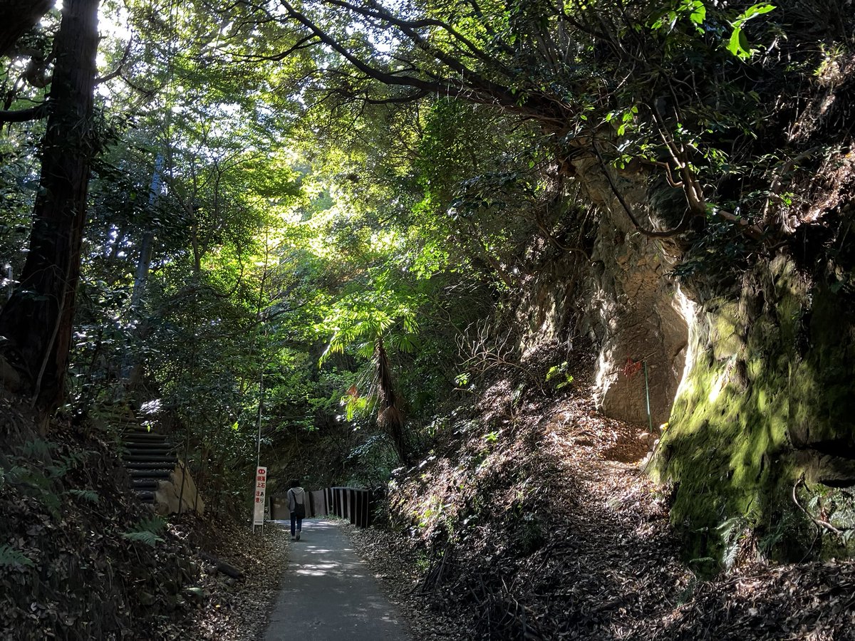 kappa_rappa_tp's tweet image. 相方が女子会でのランチに出かけたので、
当方は鎌倉での一人散歩に。紅葉🍁にはまだ少し早い感じでした。例年は12月の初旬くらいがおすすめです。
でも、鎌倉はいつ来てもいいですね！
＃鎌倉　＃紅葉　＃散歩