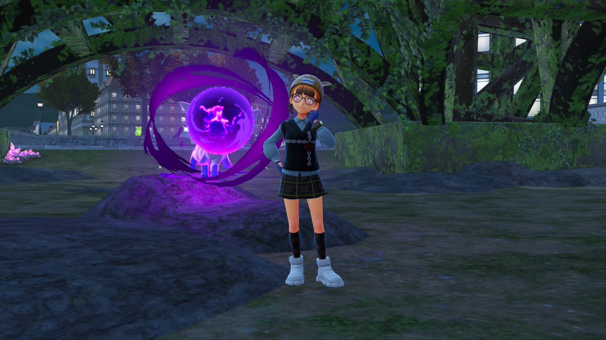 帰ったらまた色オヤブングレイシア♂出てたので命懸け写真部してきた