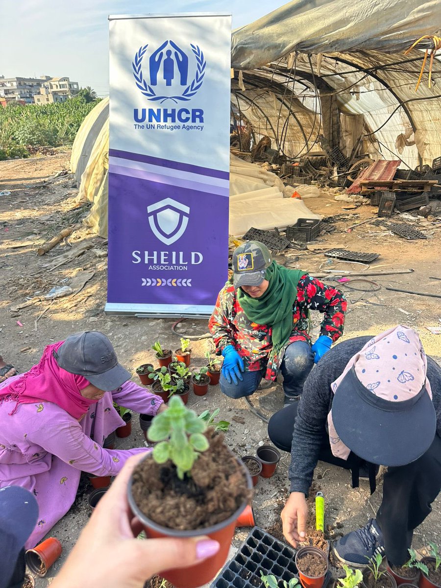 SHEILD ASSOCIATION tweet media