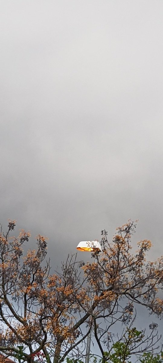 <a href="/muevtcordoba/">Movilidad Córdoba</a> <a href="/ayuncordoba_es/">Ayuntamiento Córdoba</a> <a href="/MejoremosCordES/">Mejoremos CordobaESP</a> <a href="/InfrayMAmbiente/">Delegación de Infraestructuras</a> El temporizador del alumbrado está mal sincronizado. Las farolas las tenemos encendidas durante el día.