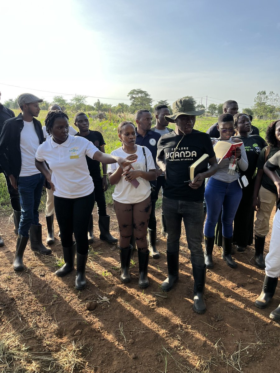 ugandauncovered's tweet photo. Yesterday, the Top 30 Travel & Tourism Writers (those in Uganda) spent a day at #KaynelaFarms in Kayunga, a trip designed to give them fresh encounters to shape their final stories for the #TravelWritingComp2025.
This visit wasn’t just a tour; it was a chance to experience https://t.co/SGmplBa7we