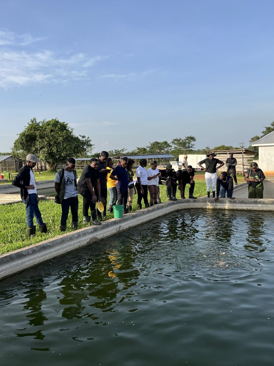 ugandauncovered's tweet photo. Yesterday, the Top 30 Travel & Tourism Writers (those in Uganda) spent a day at #KaynelaFarms in Kayunga, a trip designed to give them fresh encounters to shape their final stories for the #TravelWritingComp2025.
This visit wasn’t just a tour; it was a chance to experience https://t.co/SGmplBa7we