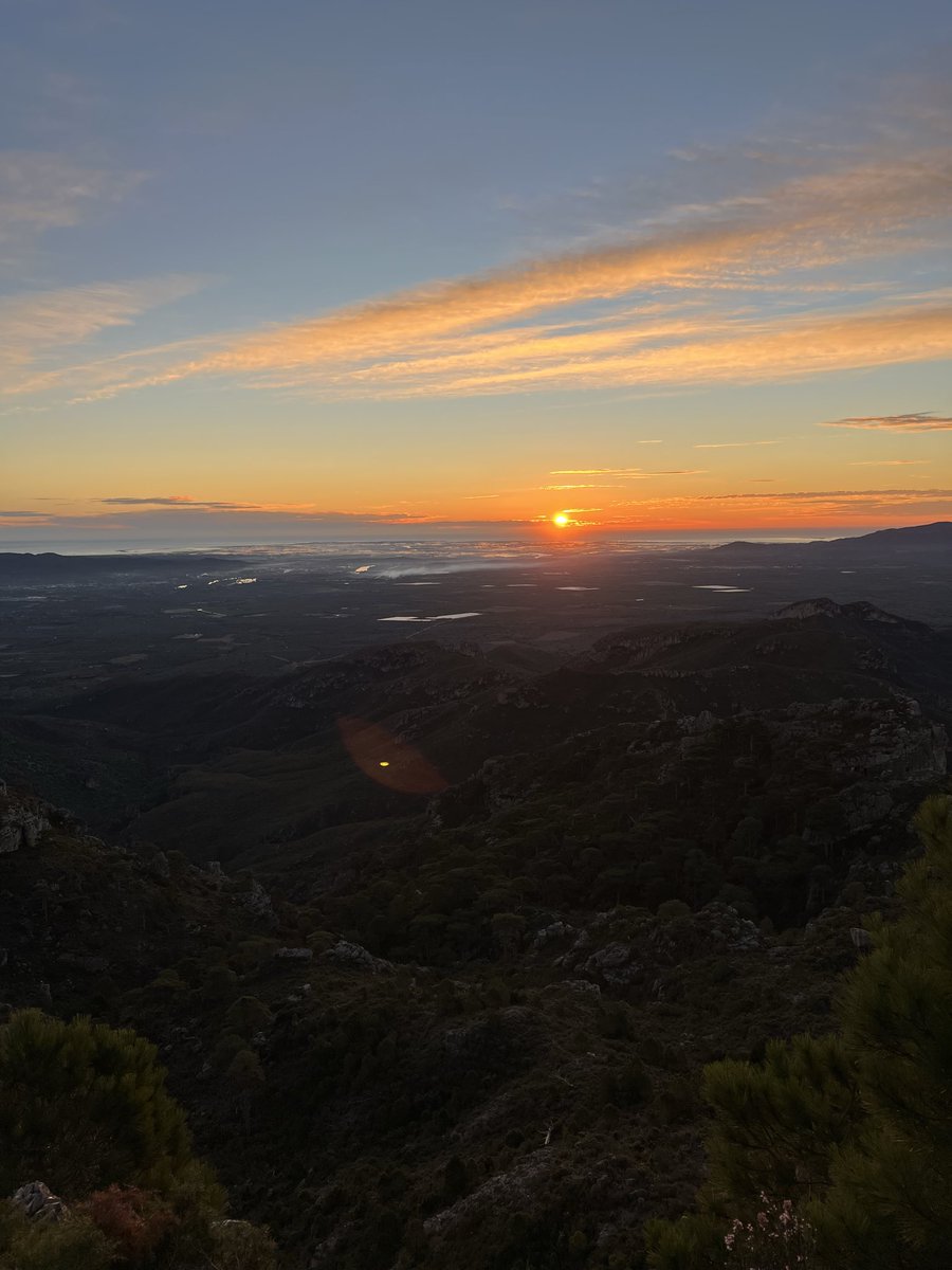 hhthacker's tweet image. dreamt my macbook pro was filled with water and woke up to this