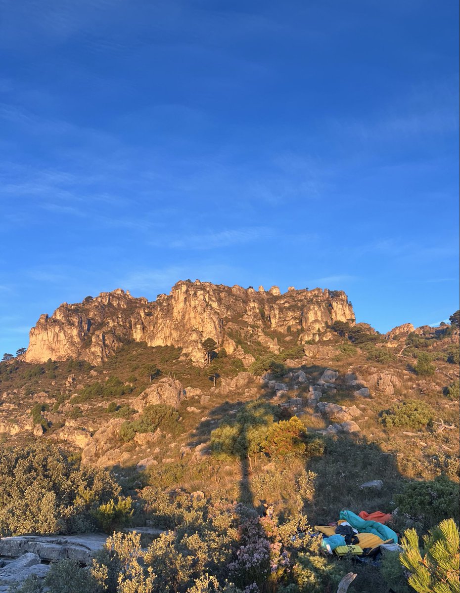 hhthacker's tweet image. dreamt my macbook pro was filled with water and woke up to this