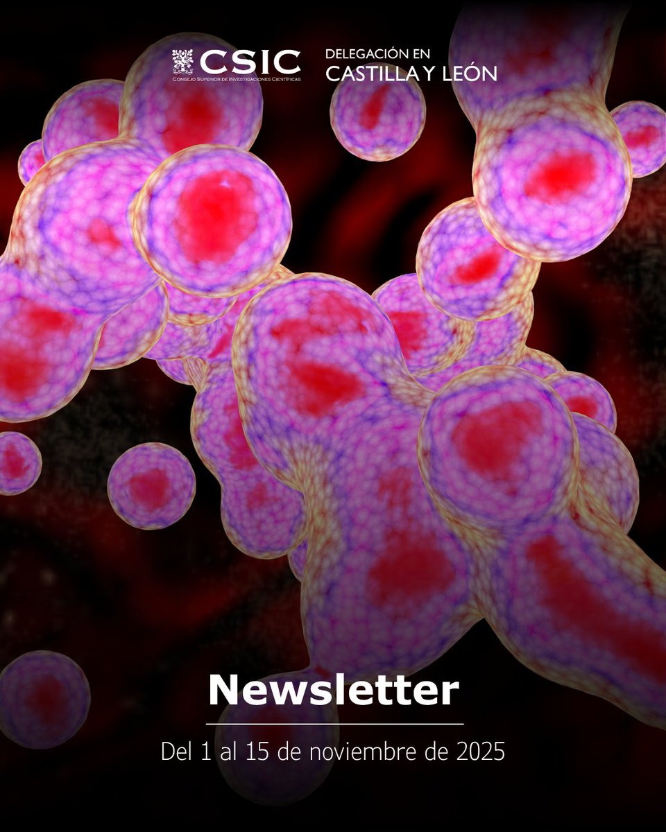 CSIC Castilla y León tweet media