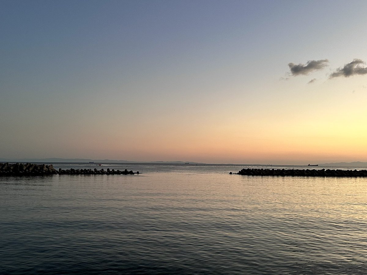 Ryo Fujimoto (@humanelectro) on Twitter photo 