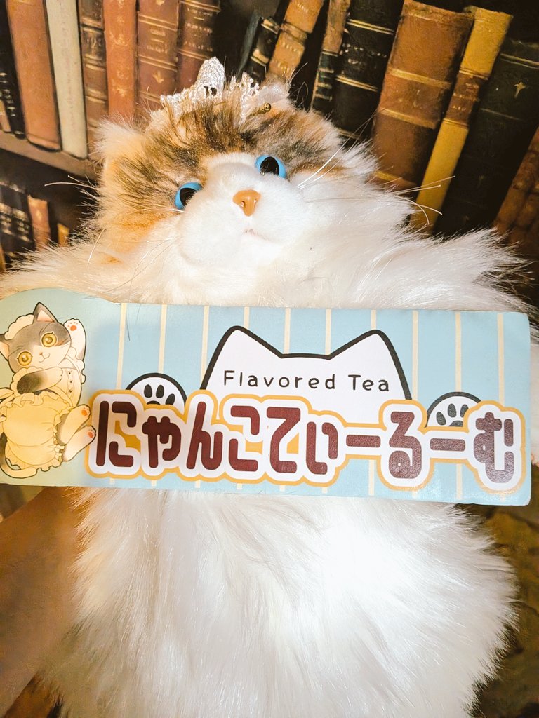 nyanco_tearoom's tweet image. 17時からは元メイドさんが
スコーンを焼いて下さるとの事で
残りのはお願いして参りました😺
焼かせて頂きありがとうござい
ました🙏
猫型てぃるむがドヤッております