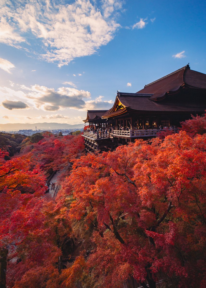 優しい夕焼けに包まれる晩秋の清水寺。