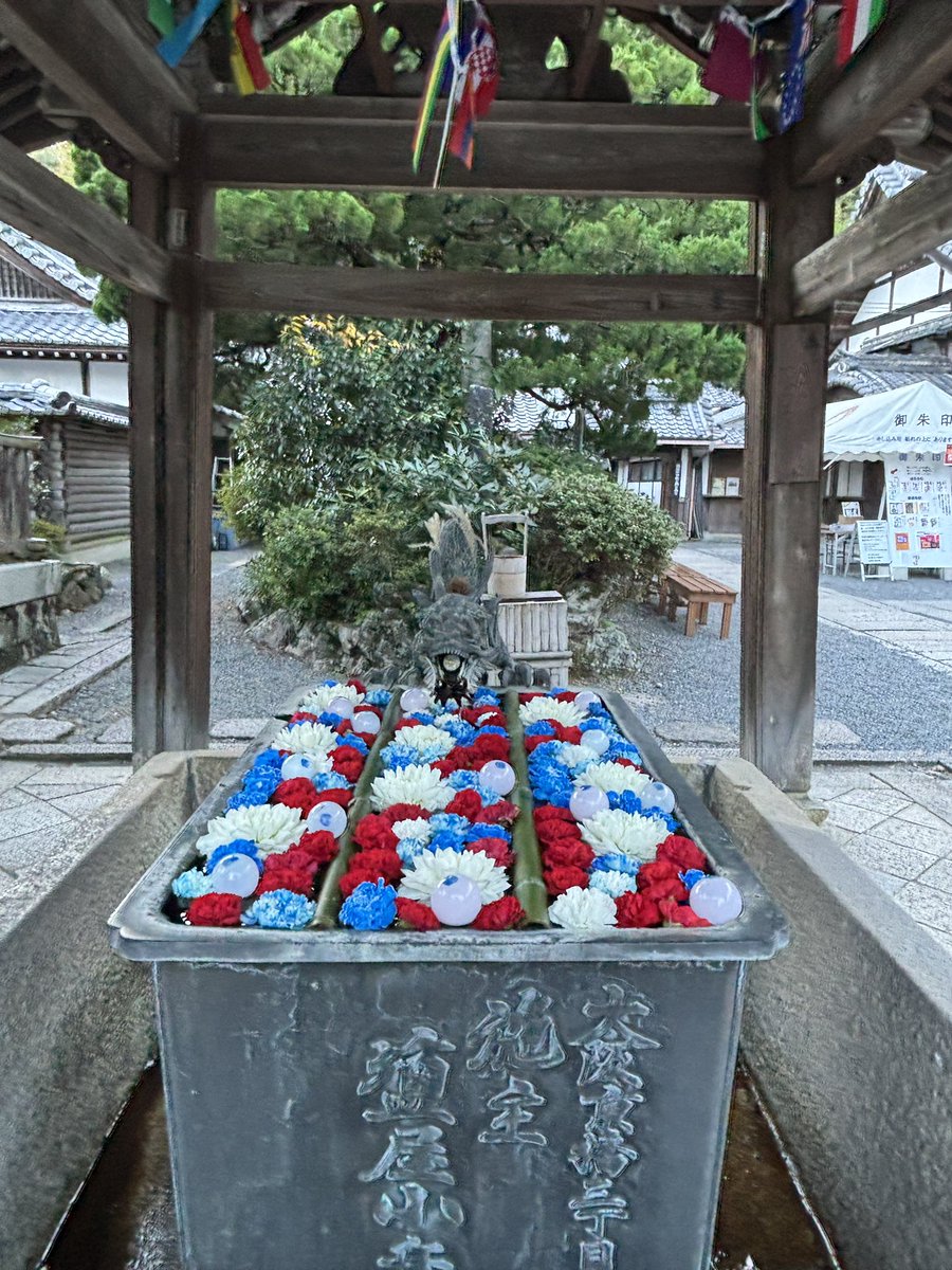 humanzoo72 (@z6d1m80hfkhmqm) / Posts / X