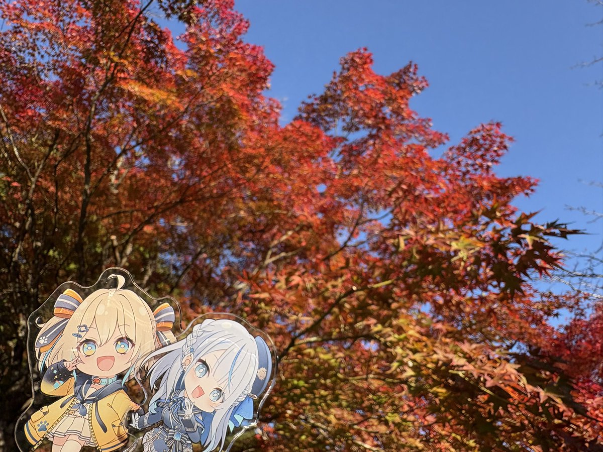 ちびウェザプラと紅葉ツーリング🏍️💨
#あっぱれ配信中
#見ていルカ