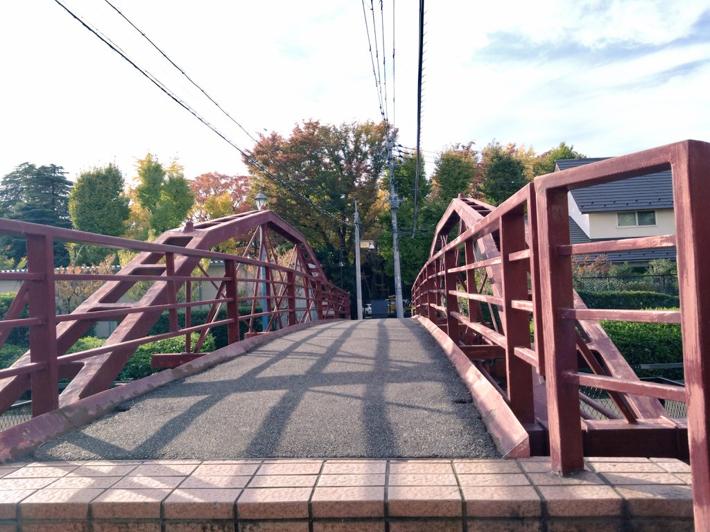 yun_ppp0409's tweet image. 11/12…  ヒレカツの後、山Pと浅利くんが行った富岡八幡宮へ。

Mr.Pちゃまのお目々に、邪魔なものが撮りこんじゃってて後で気づいて凹んだわ😂

いっつもカメラで撮すの下手くそ過ぎなワタシやん💦

近くに、野ブタに出てきた橋あるよって教えてもらってたので行ってみた…

#山下智久 やまぴー
#P活