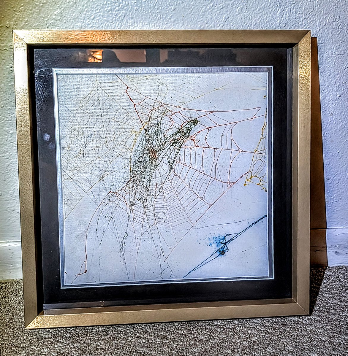 losfluffies's tweet image. I want to show you my #Spiderweb #Artwork Have a great night. ❤️