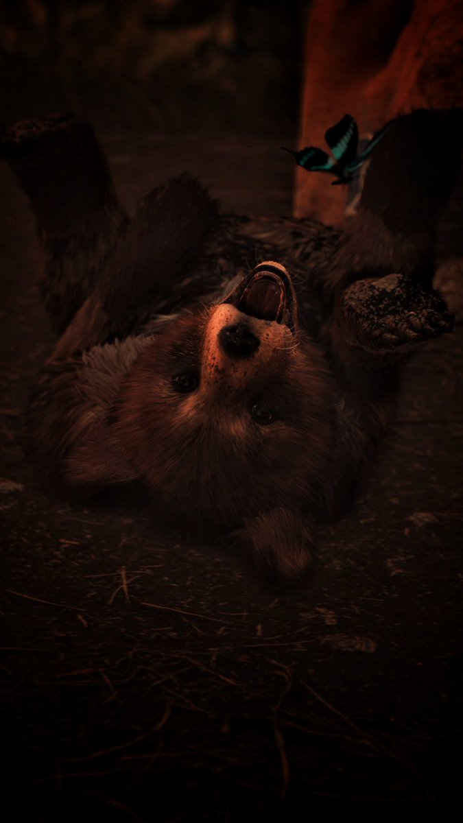 GrayFoxVP's tweet image. OMG just look at this cute baby bear 🐻
The side quest was nice but also kind of sad.

But while we&apos;re on the subject, what is your favorite animal companions in video games?

#GhostofYotei 
#PSshare
#PSBlog
#VirtualPhotography