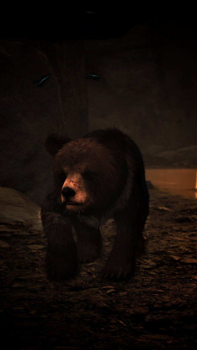 GrayFoxVP's tweet image. OMG just look at this cute baby bear 🐻
The side quest was nice but also kind of sad.

But while we&apos;re on the subject, what is your favorite animal companions in video games?

#GhostofYotei 
#PSshare
#PSBlog
#VirtualPhotography