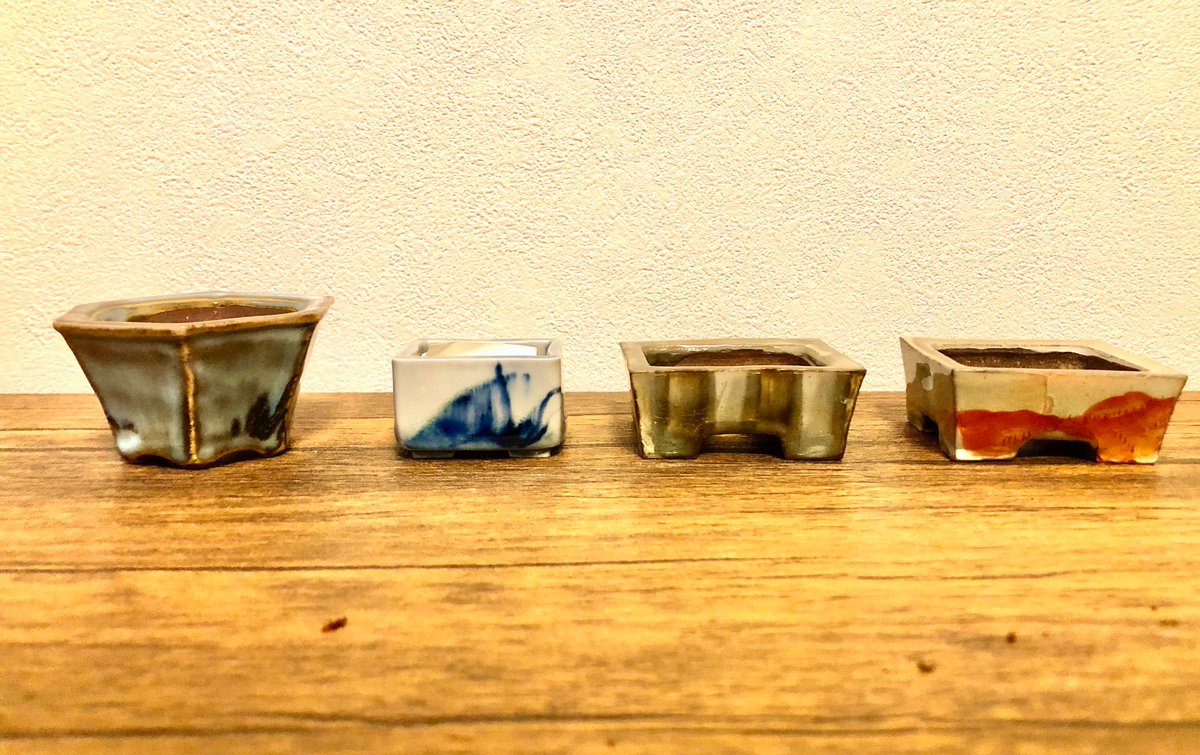 nobo_bon | 掌 tanagokoro | (@nobo_bon_) / Posts / X