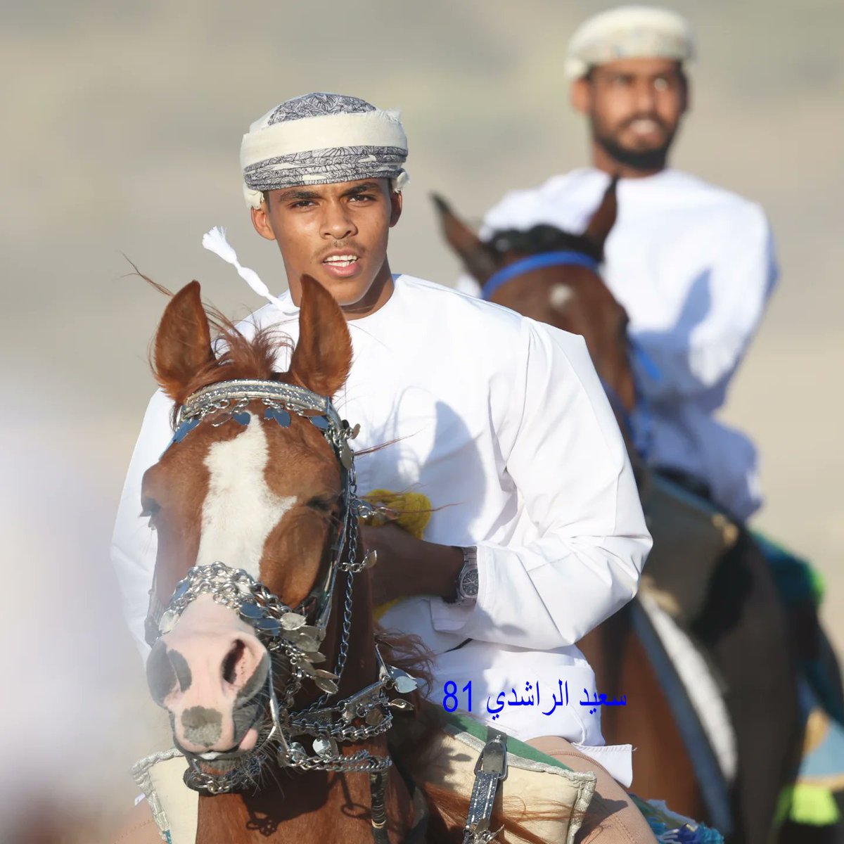 saidrashdi166's tweet photo. الفاضل / عامر بن علي الشبلي بميدان قرية النصيب لركض العرضة بولاية إبراء بمحافظة شمال الشرقية 
🌹🌹🌹🌹🌹🌹🌹🌹
لقطات وصور جميلة جدا ولقطات رائعة ومميزة تغطي فعاليات ركض عرضة الهجن والخيل والذي اقيم على ارضية ميدان النصيب لركض العرضة بقرية النصيب بولاية إبراء بمحافظة
يتبع👇👇 https://t.co/7CWoW1kKLw