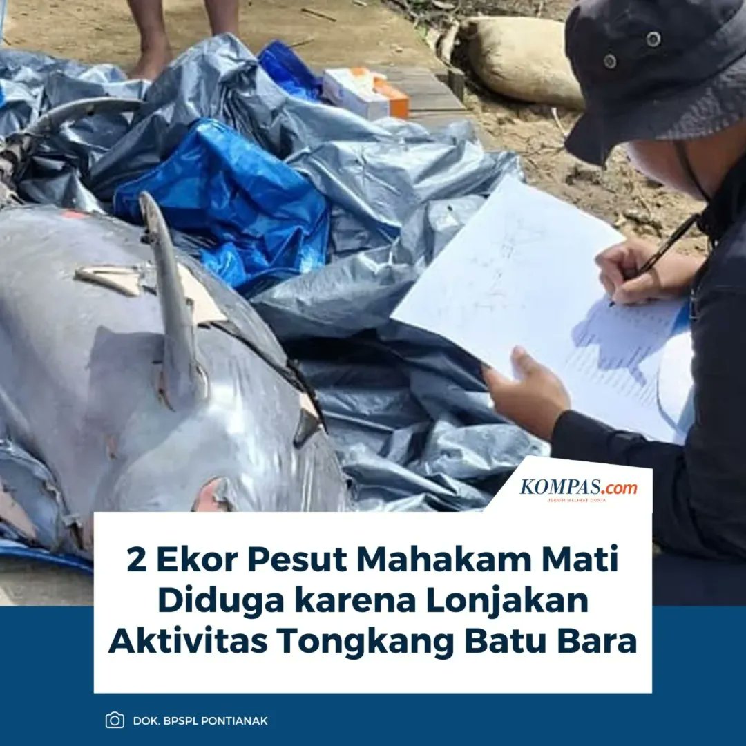 ARSIPAJA's tweet image. 