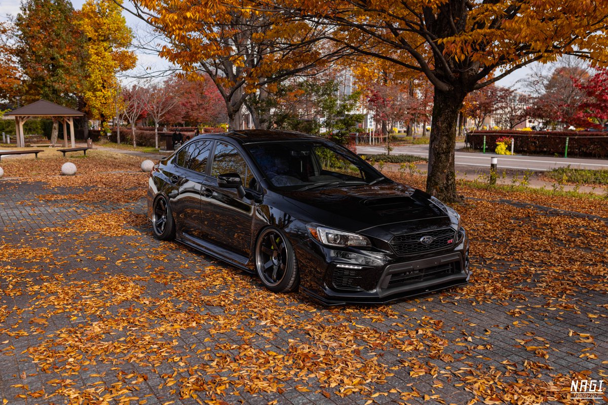 なぎ (@CFTnagi) / Posts / X