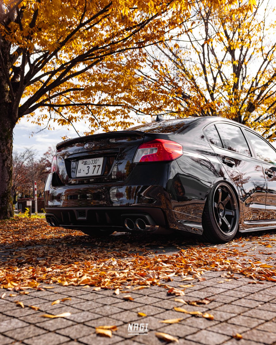 なぎ (@CFTnagi) / Posts / X