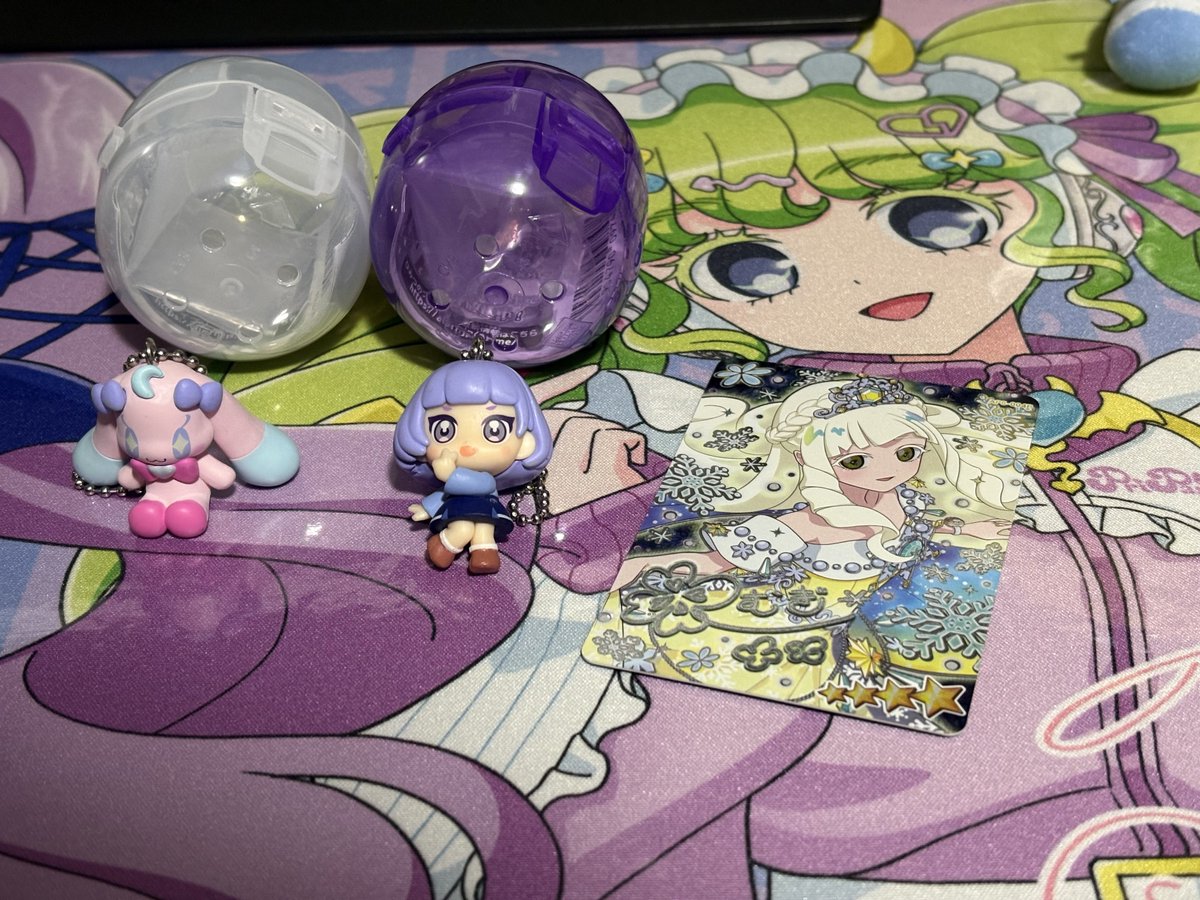 本日の晩御飯になります……。（衝動買いはやめようね！）