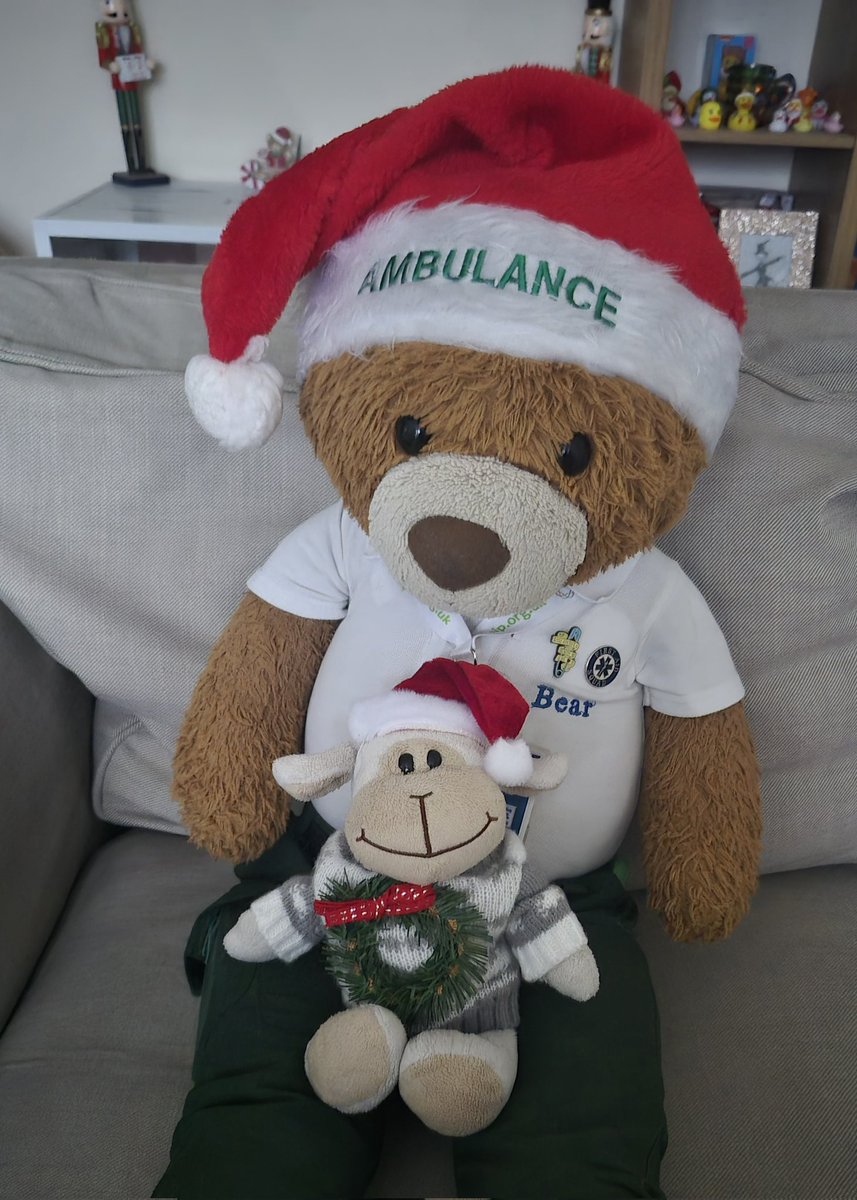 I cannot believe this has come around again so fast, but... I'm doing Personalised  Christmas e-cards again this year so if you would like to receive one just pop your email in my DMs. They will be sent out mid December #bearswithjobs #MerryChristmas #GivingBack #friendship #card