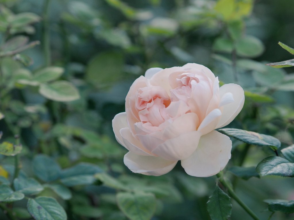 ひっきー☀️🌈🌻🚗🌻 (@hfx7a) / Posts / X